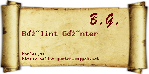 Bálint Günter névjegykártya