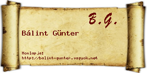 Bálint Günter névjegykártya